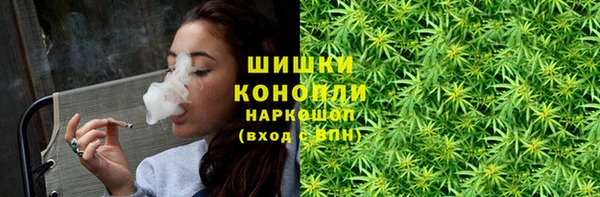 ГАЛЛЮЦИНОГЕННЫЕ ГРИБЫ Балабаново