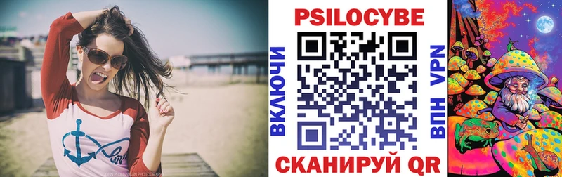 Галлюциногенные грибы Psilocybe Крымск